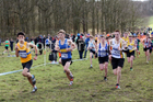 Boys under-15s 2019 British Athletics Inter Counties Cross Country, Prestwood Hall, Loughborough. Photo:  David T. Hewitson/Sports for All Pics
